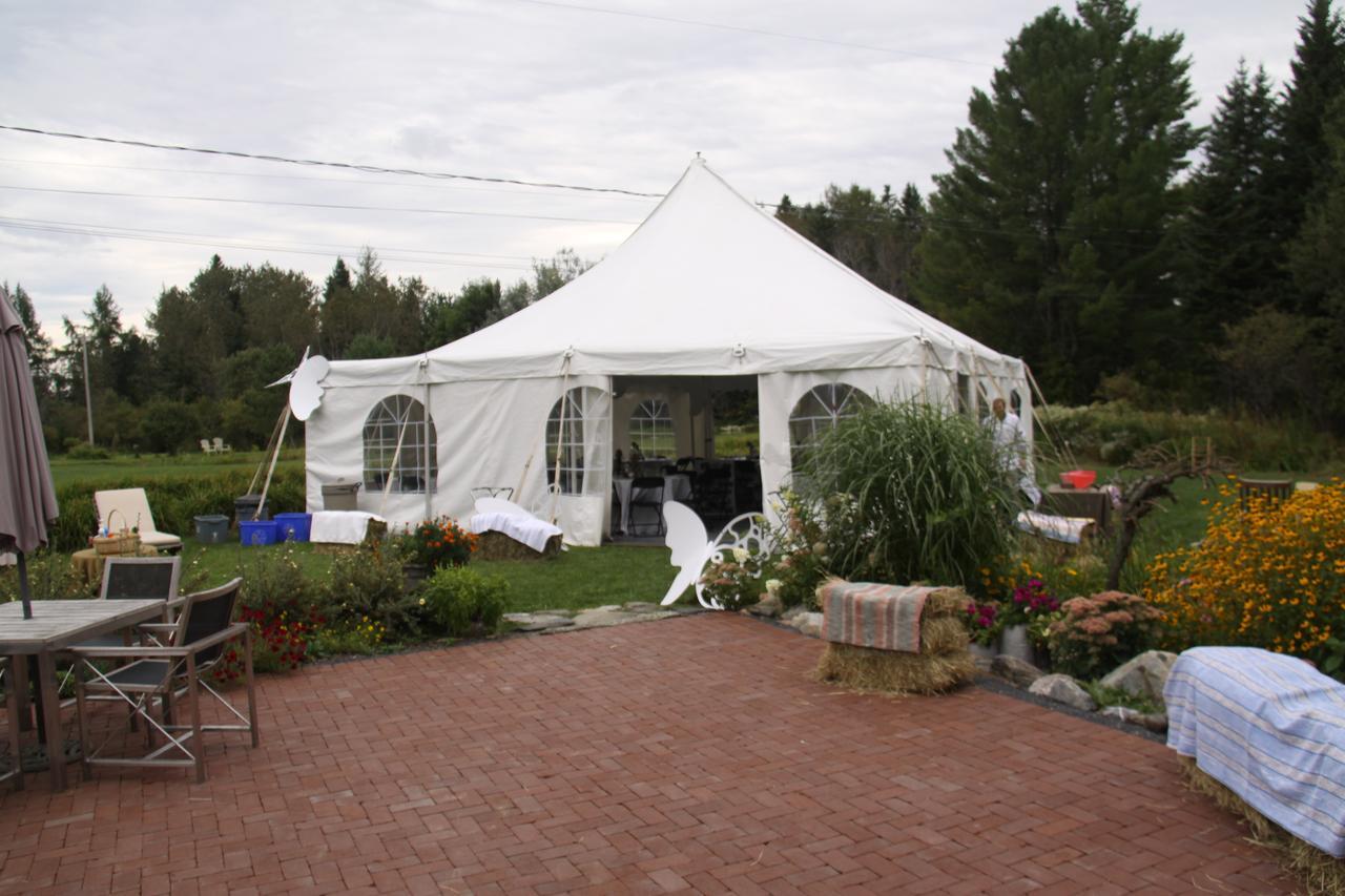 סן-ג'ורג' Auberge Taylor Manor מראה חיצוני תמונה